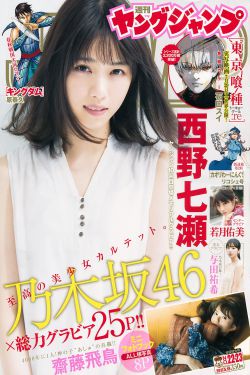碧血书香梦 电视剧